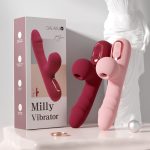 2 rabbit dildo with box