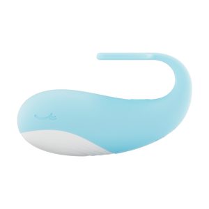 blue small whale