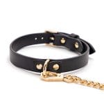 a bdsm collar with gold chain