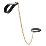 a leash and collar bdsm​