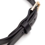 a bdsm collar's buckle