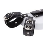 2 shackles on the platform