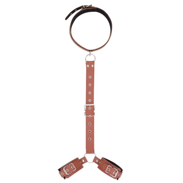 a brown collar and 2 shackles connected by leather chain