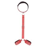 a red collar and 2 shackles connected by leather chain