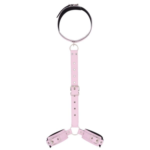a pink collar and 2 shackles connected by leather chain, blacka collar and 2 shackles connected by leather chain