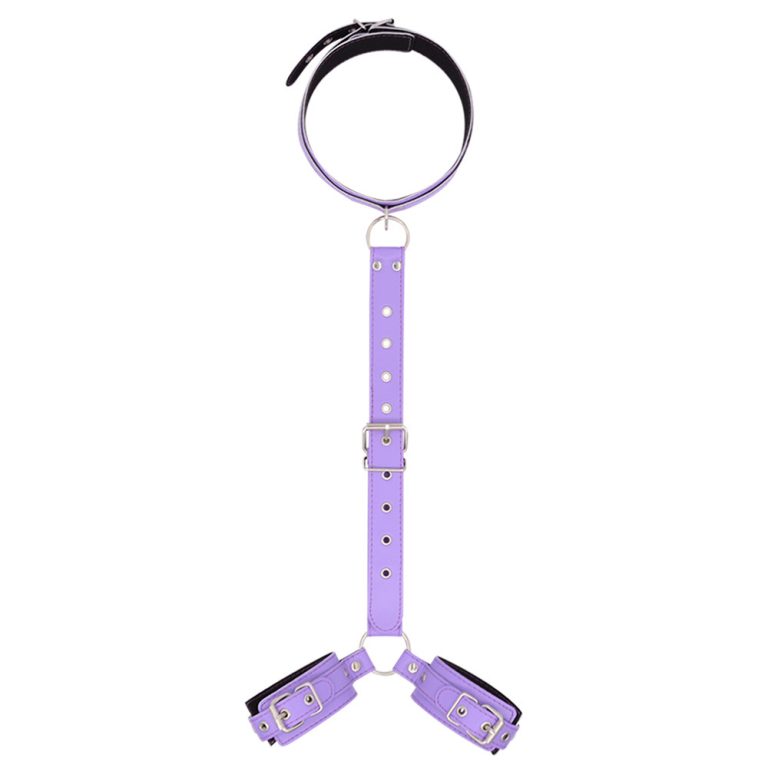 a purple collar and 2 shackles connected by leather chain
