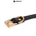 a ball gag's buckle