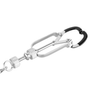 a silver nipple and clit clamps